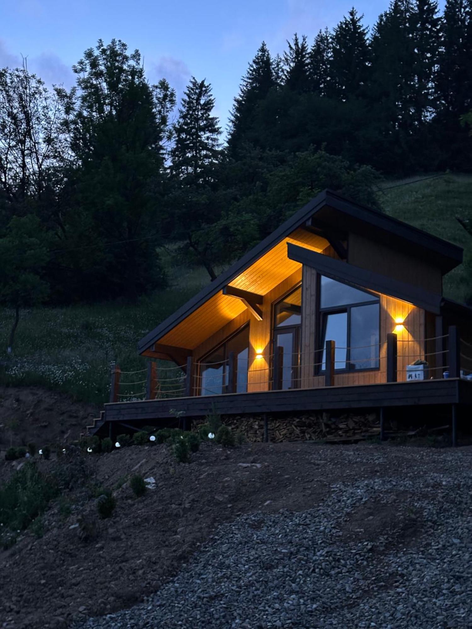 Petrick House Lägenhet Verchovyna Exteriör bild